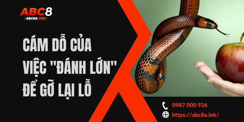 Cám Dỗ Của Việc "Đánh Lớn" Để Gỡ Lại Lỗ