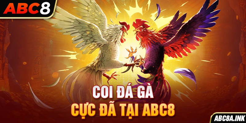 Coi đá gà cực đã tại ABC8