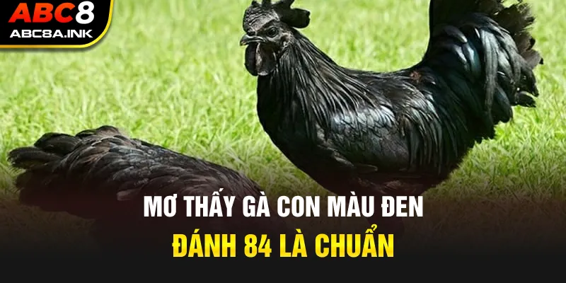 Mơ thấy gà con màu đen đánh 84 là chuẩn