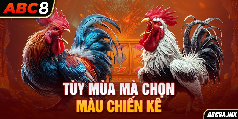 Tùy mùa mà chọn màu chiến kê